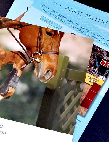 Idexx equine advertising deployment Idexx equine advertising deployment