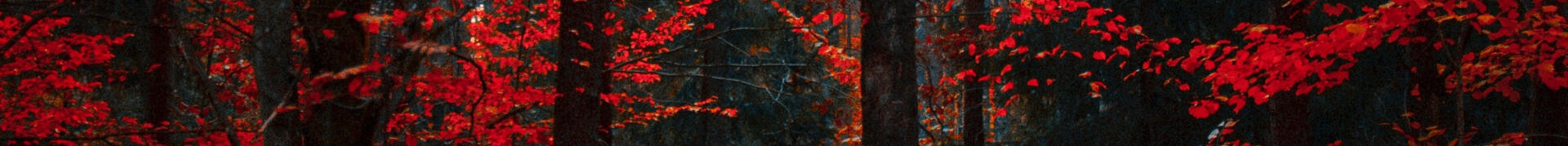 Bill Dodson Marketing and Brand Development